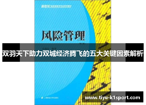 双羽天下助力双城经济腾飞的五大关键因素解析