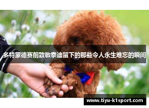 多特蒙德赛前致敬泰迪留下的那些令人永生难忘的瞬间