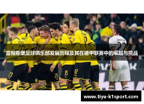 雷根斯堡足球俱乐部发展历程及其在德甲联赛中的崛起与挑战