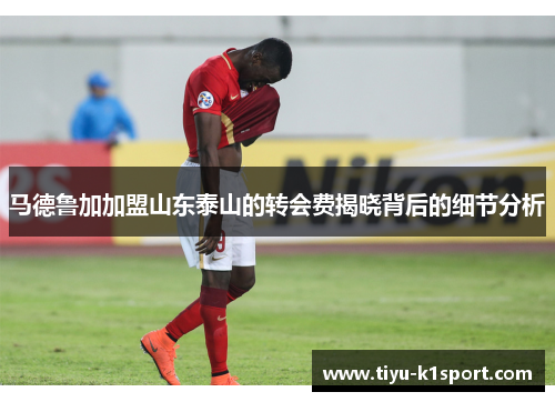 马德鲁加加盟山东泰山的转会费揭晓背后的细节分析 马德鲁加加盟山东泰山的转会费揭晓背后的细节分析