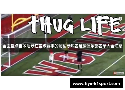 全面盘点当今活跃在各级赛事的葡萄牙知名足球俱乐部名单大全汇总